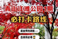 武汉江边免费去处推荐：汉口青山江滩漫步指南
