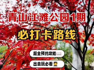 武汉江边免费去处推荐：汉口青山江滩漫步指南
