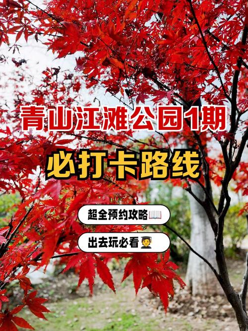 武汉休闲推荐_休闲武汉推荐店铺_武汉市内休闲好去处