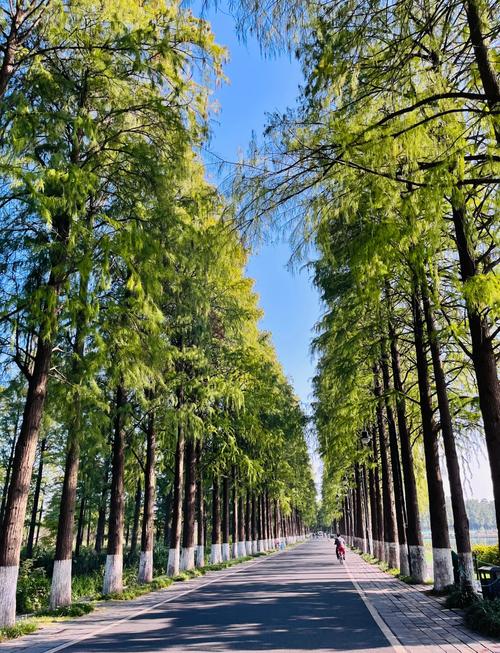 武汉休闲体验_武汉休闲sz_武汉休闲怎么样